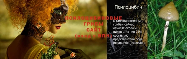 метадон Армянск