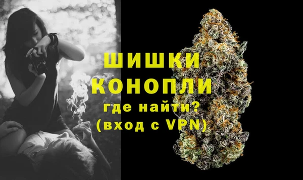 бошки Аркадак